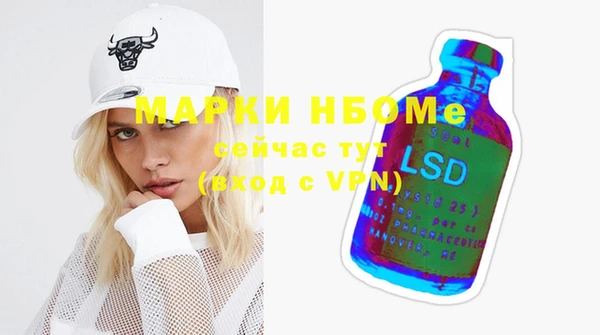 индика Алзамай