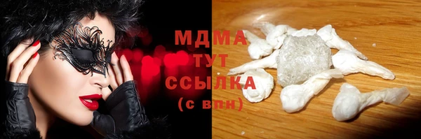 СК Алексин