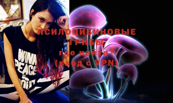индика Алзамай