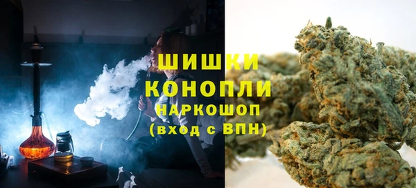 индика Алзамай