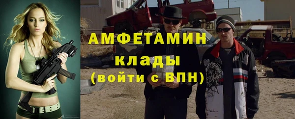 индика Алзамай