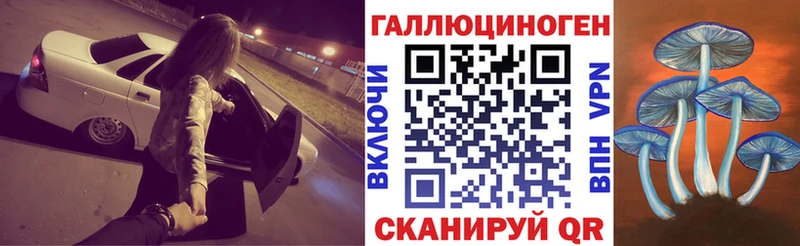 Псилоцибиновые грибы Psilocybe  наркошоп  Тында 